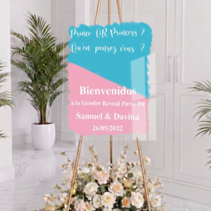 Alternative view of Panneau Gender Reveal